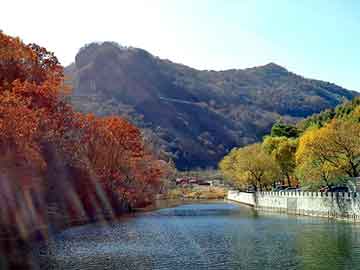 澳门红姐论坛精准两码300期，佛山到山东物流